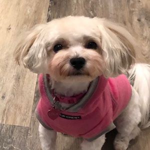 Meet your Posher, Cissy